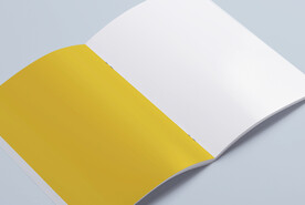 画册样机书籍贴图效果