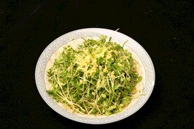 拌萝卜苗