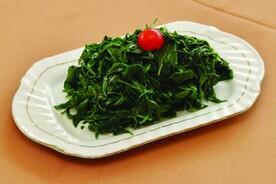 枸杞苗