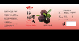 杨梅罐头