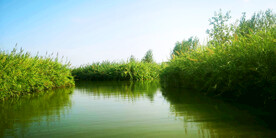 江苏洪泽湖湿地
