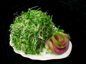 香椿芽