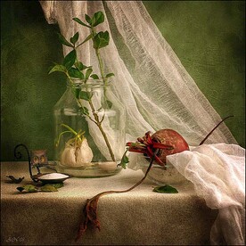 高级静物素描水彩参考图