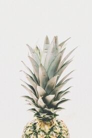 菠萝