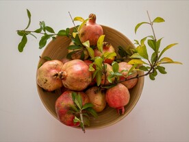 石榴