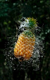 菠萝
