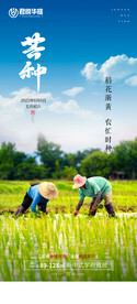 芒种微信单图