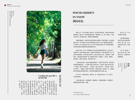 画册板式设计