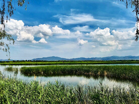 北京野鸭湖湿地公园