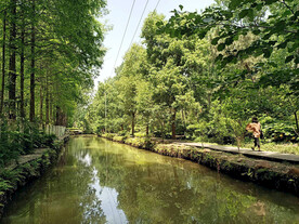 安徽合肥滨湖湿地公园