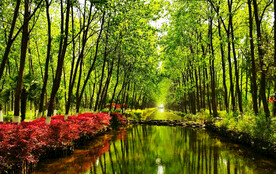 安徽合肥滨湖湿地公园