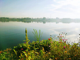 天津环秀湖国家湿地公园