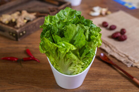 新鲜生菜