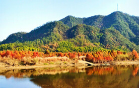 安徽宁国落羽杉湿地公园