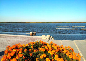 天津七里海湿地