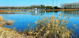 天津潮白河湿地公园