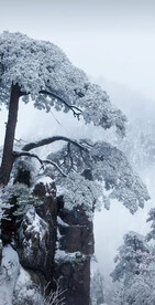 雪景