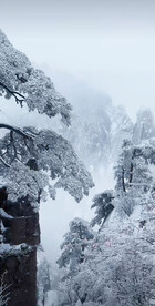 雪景