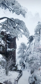 雪景
