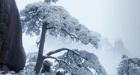 松山雪景
