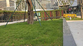 场景素材