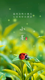 小暑