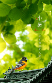小暑