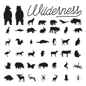 野生动物剪影图片