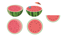 西瓜素材插画