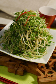 香春苗拌豆腐丝