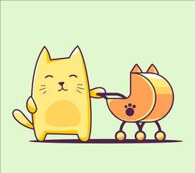 卡通猫  