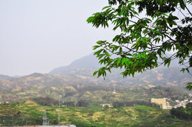 潮州凤凰山 特写