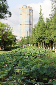 钦州白石湖公园