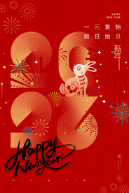红色兔年新年春节海报