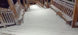 雪中