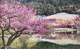 张家港香山