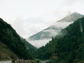 丛林