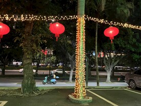 春节灯饰