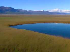 草原湿地