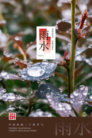 雨水二十四节