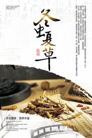 冬虫夏草海报