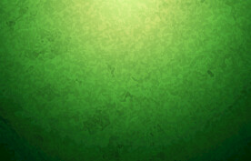 矢量绿色背景图片