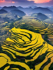 梯田风景