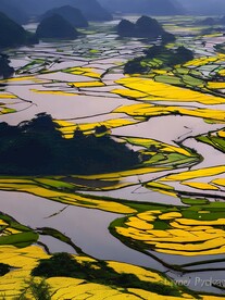 梯田风景