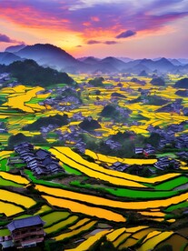 梯田风景