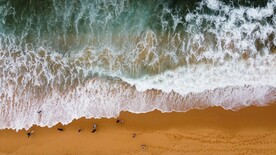 海边