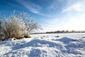 雪地 