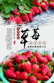 草莓