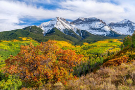 雪山与层林尽染的山林