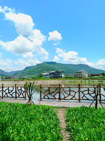 田园风光